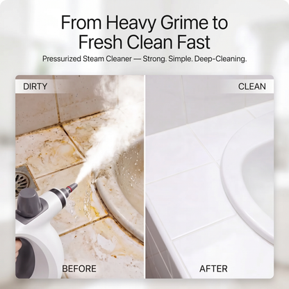 VaporClean Steamer Pro